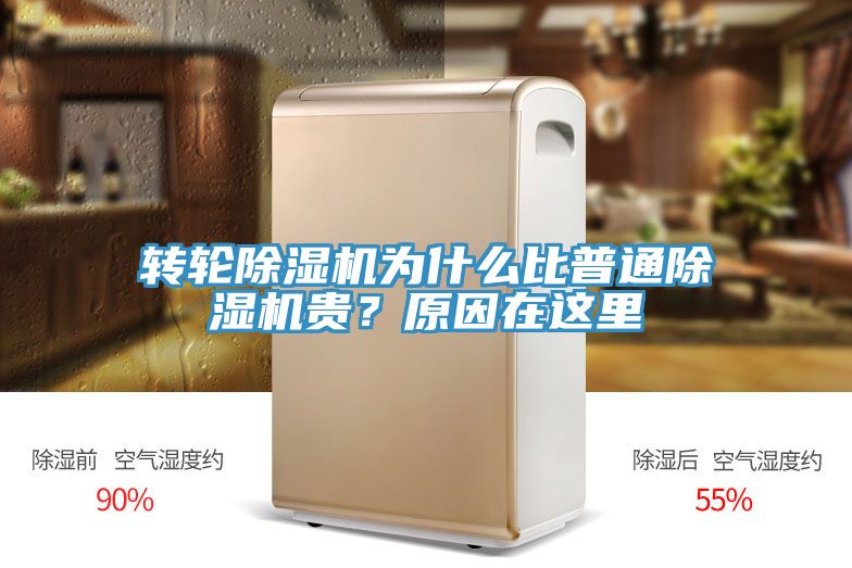 轉輪除濕機為什么比普通除濕機貴？原因在這里