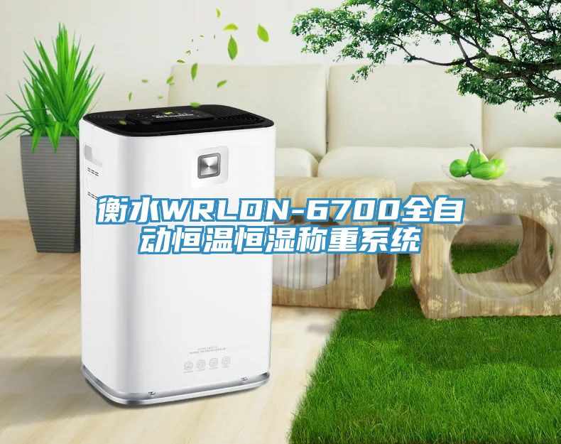 衡水WRLDN-6700全自動(dòng)恒溫恒濕稱(chēng)重系統(tǒng)