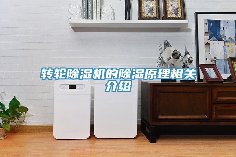 轉(zhuǎn)輪除濕機的除濕原理相關(guān)介紹