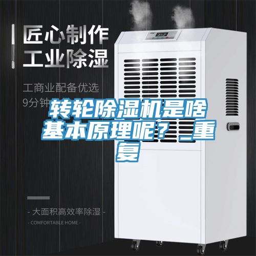 轉輪除濕機是啥基本原理呢?_重復