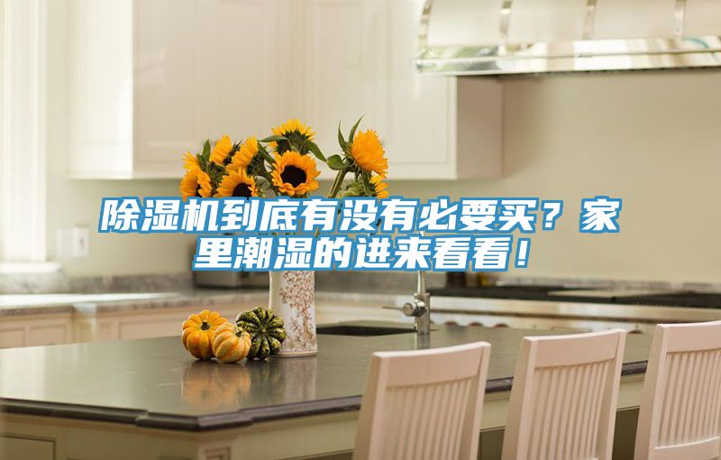 除濕機(jī)到底有沒有必要買？家里潮濕的進(jìn)來看看！