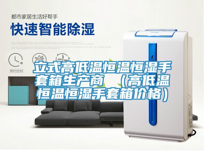 立式高低溫恒溫恒濕手套箱生產(chǎn)商 （高低溫恒溫恒濕手套箱價格）