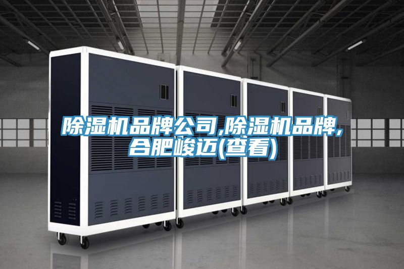 除濕機品牌公司,除濕機品牌,合肥峻邁(查看)
