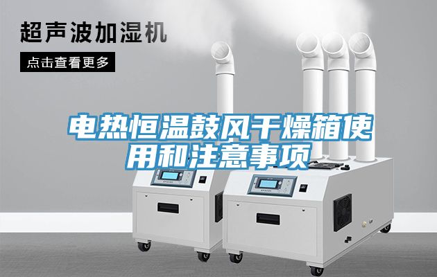 電熱恒溫鼓風干燥箱使用和注意事項