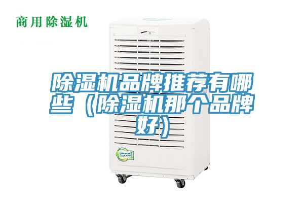 除濕機品牌推薦有哪些(除濕機那個品牌好)