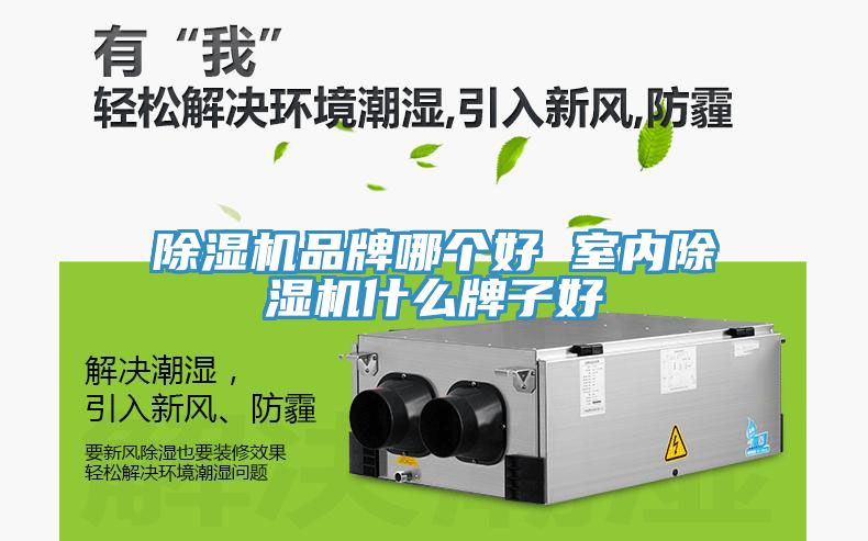 除濕機品牌哪個好 室內除濕機什么牌子好