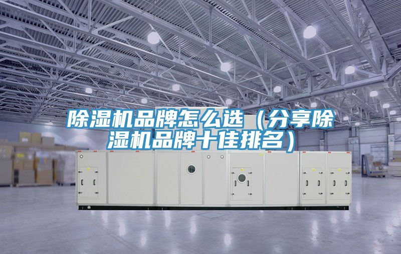 除濕機品牌怎么選(分享除濕機品牌十佳排名)