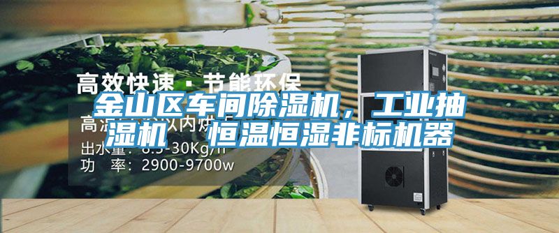 金山區(qū)車間除濕機,工業(yè)抽濕機 恒溫恒濕非標機器