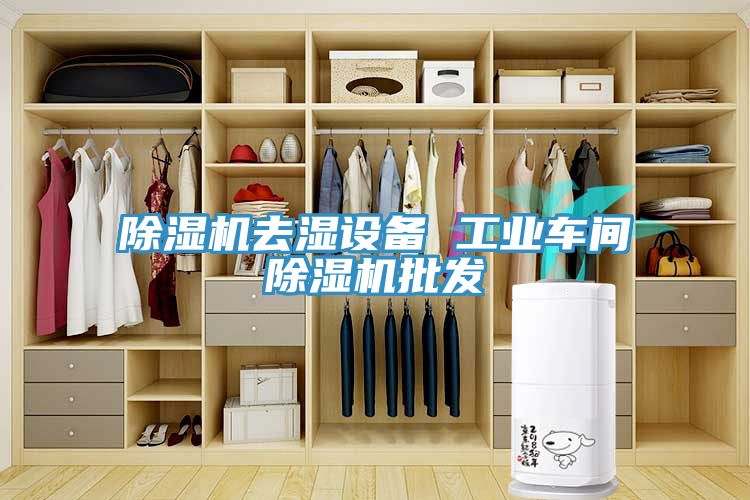 除濕機去濕設備 工業車間除濕機批發
