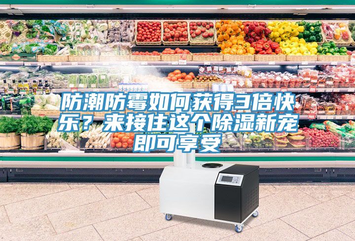 防潮防霉如何獲得3倍快樂?來接住這個除濕新寵即可享受