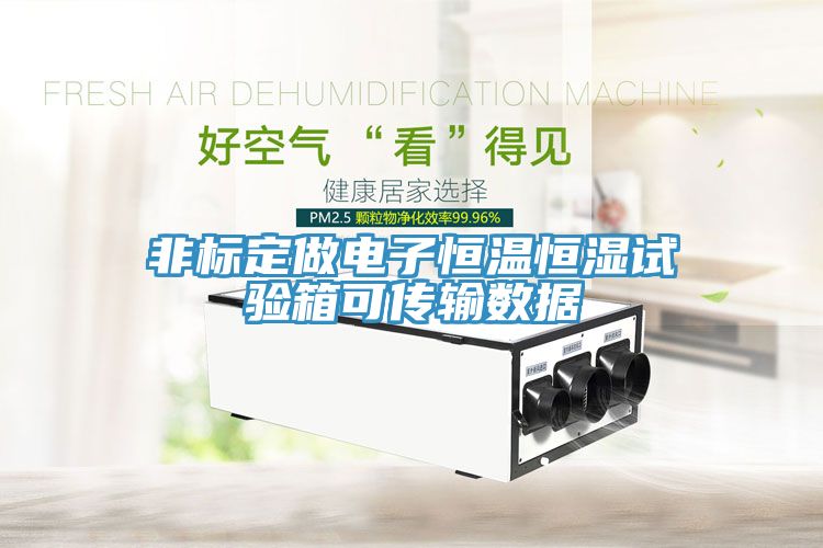 非標(biāo)定做電子恒溫恒濕試驗箱可傳輸數(shù)據(jù)