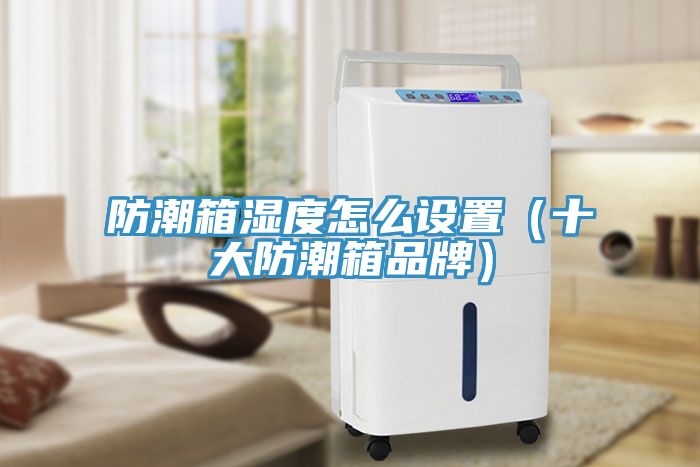 防潮箱濕度怎么設置(十大防潮箱品牌)