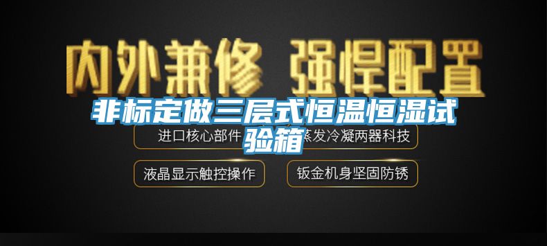 非標(biāo)定做三層式恒溫恒濕試驗箱