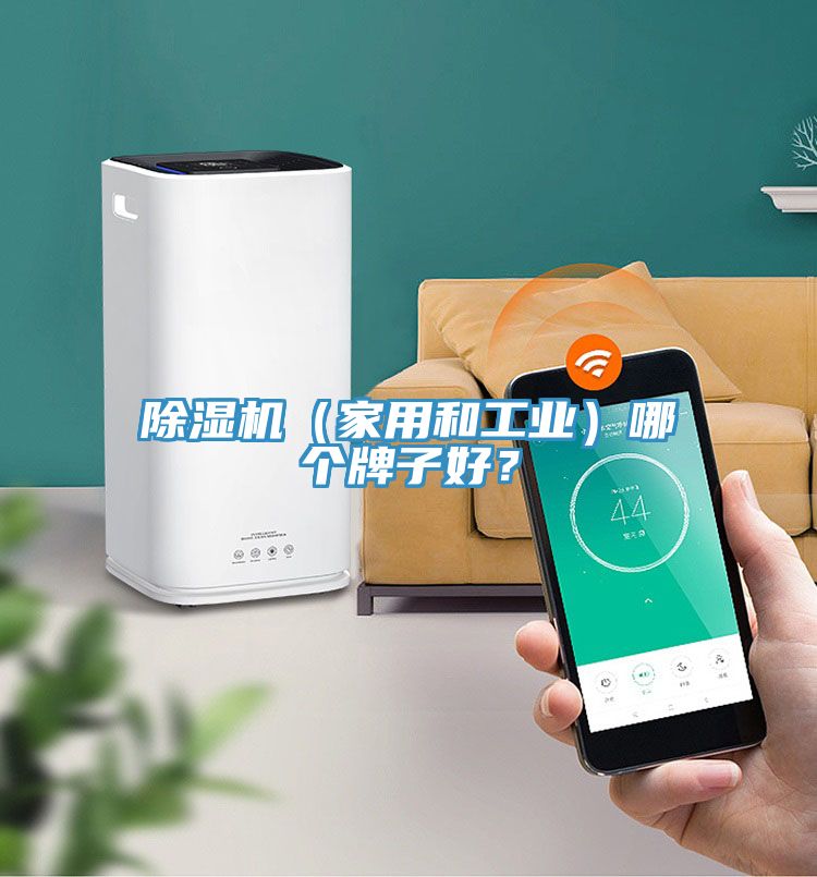 除濕機（家用和工業(yè)）哪個牌子好？