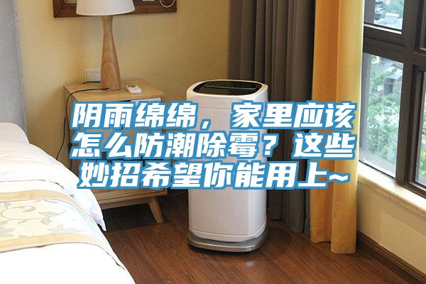 陰雨綿綿,家里應(yīng)該怎么防潮除霉?這些妙招希望你能用上~