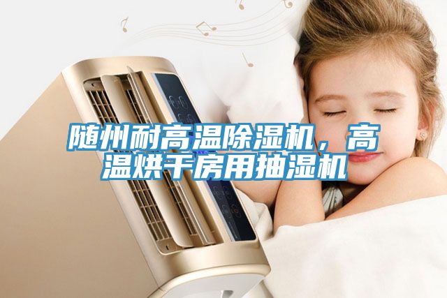 隨州耐高溫除濕機，高溫烘干房用抽濕機