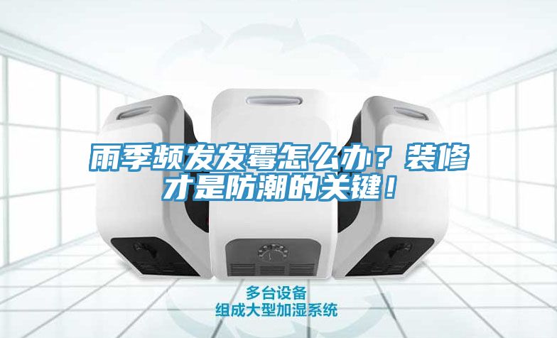 雨季頻發發霉怎么辦?裝修才是防潮的關鍵!