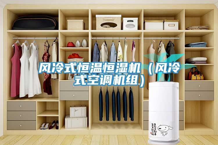 風冷式恒溫恒濕機(風冷式空調機組)