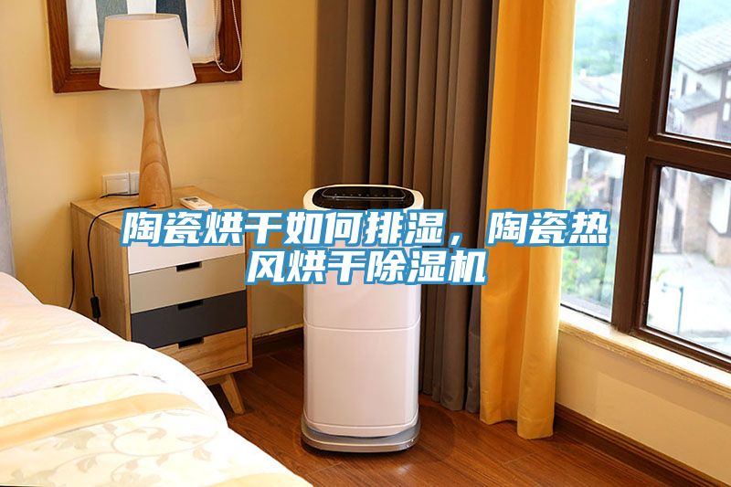 陶瓷烘干如何排濕，陶瓷熱風烘干除濕機