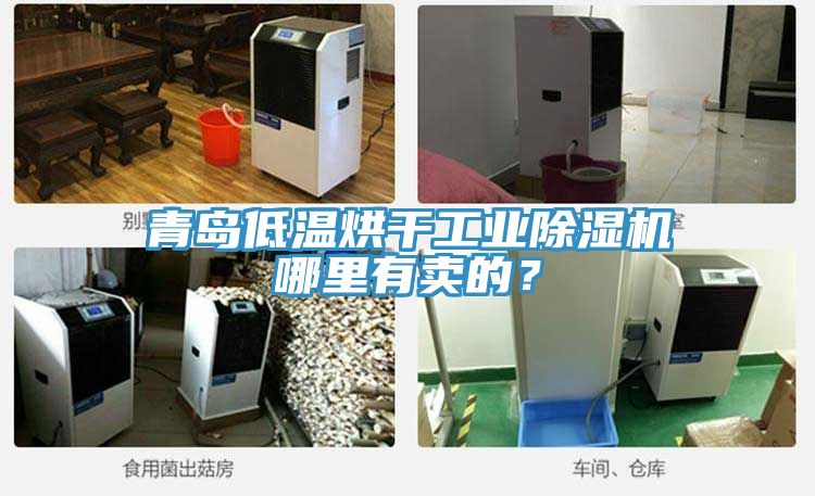 青島低溫烘干工業除濕機哪里有賣的?