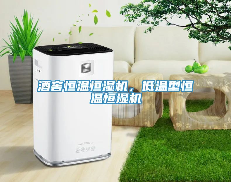 酒窖恒溫恒濕機,低溫型恒溫恒濕機