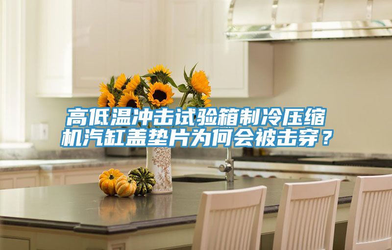 高低溫沖擊試驗箱制冷壓縮機汽缸蓋墊片為何會被擊穿？