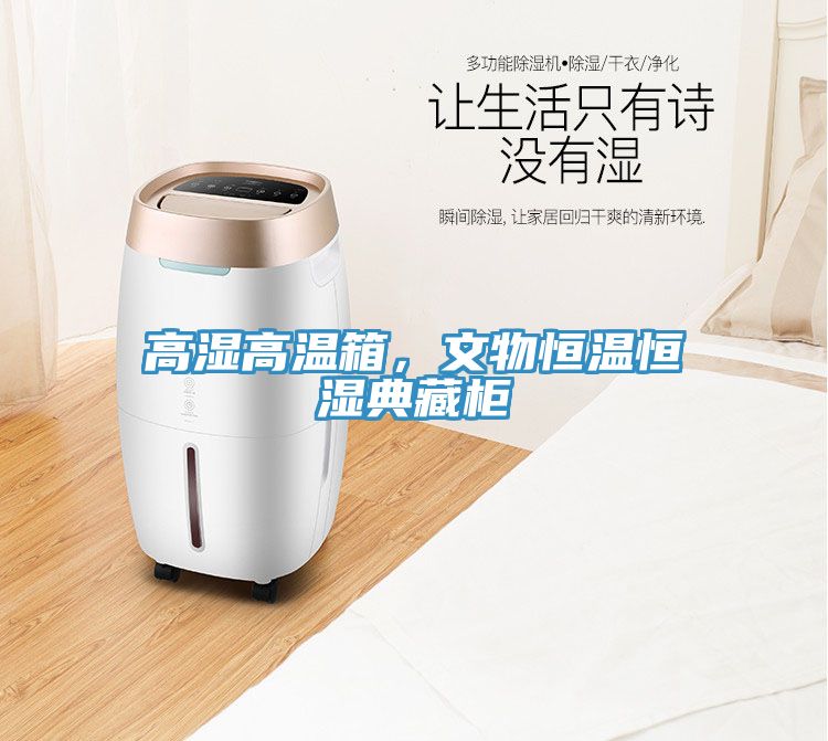 高濕高溫箱,文物恒溫恒濕典藏柜