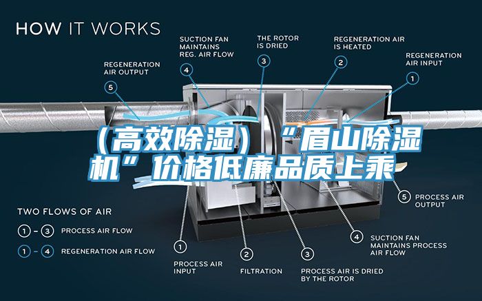 (高效除濕)“眉山除濕機”價格低廉品質上乘