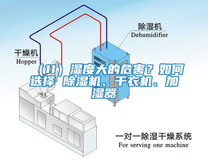 (11)濕度大的危害?如何選擇 除濕機、干衣機、加濕器