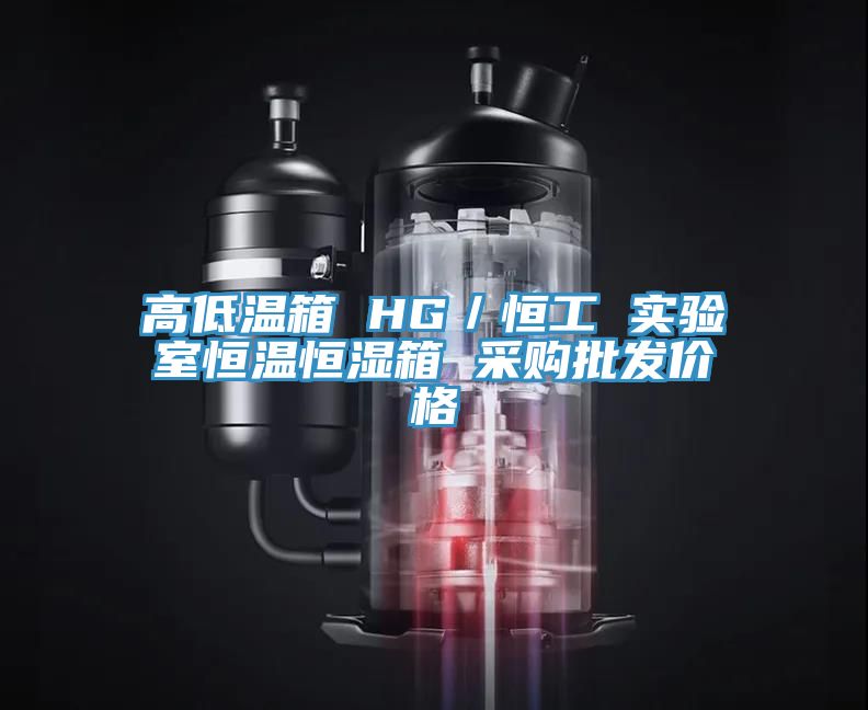 高低溫箱 HG/恒工 實驗室恒溫恒濕箱 采購批發價格