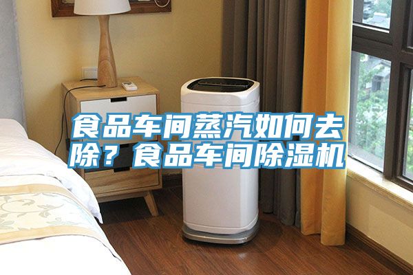 食品車間蒸汽如何去除?食品車間除濕機
