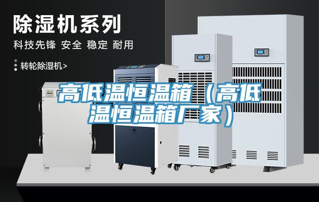 高低溫恒溫箱(高低溫恒溫箱廠家)