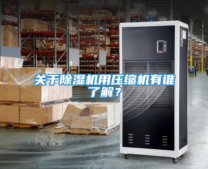 關(guān)于除濕機(jī)用壓縮機(jī)有誰(shuí)了解？