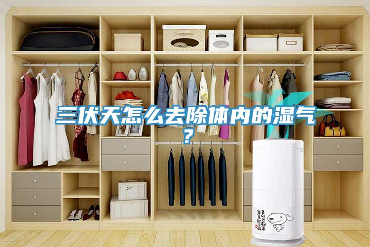 三伏天怎么去除體內(nèi)的濕氣？