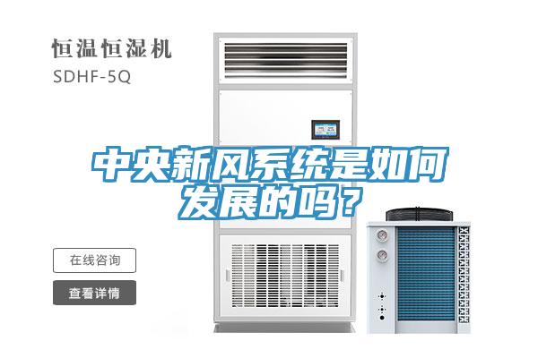 中央新風系統是如何發展的嗎？