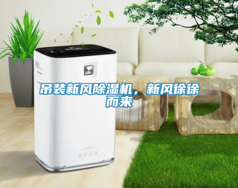 吊裝新風除濕機，新風徐徐而來