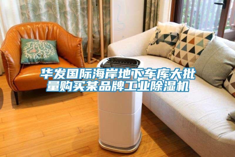 華發(fā)國(guó)際海岸地下車(chē)庫(kù)大批量購(gòu)買(mǎi)某品牌工業(yè)除濕機(jī)