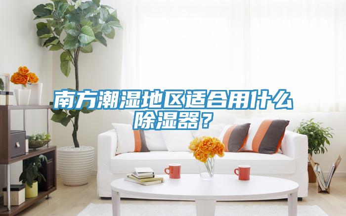 南方潮濕地區適合用什么除濕器?