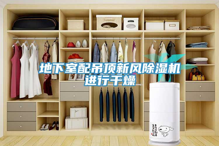 地下室配吊頂新風除濕機進行干燥