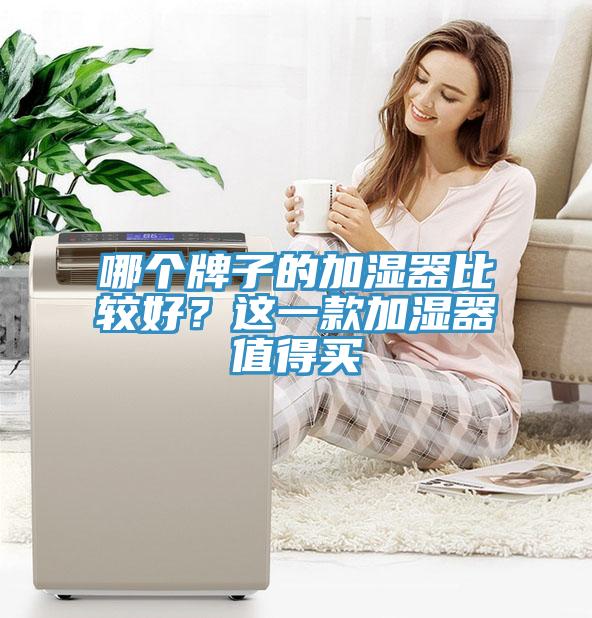 哪個(gè)牌子的加濕器比較好？這一款加濕器值得買