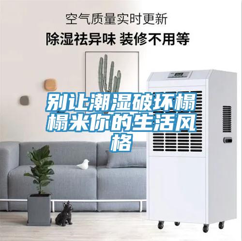 別讓潮濕破壞榻榻米你的生活風格