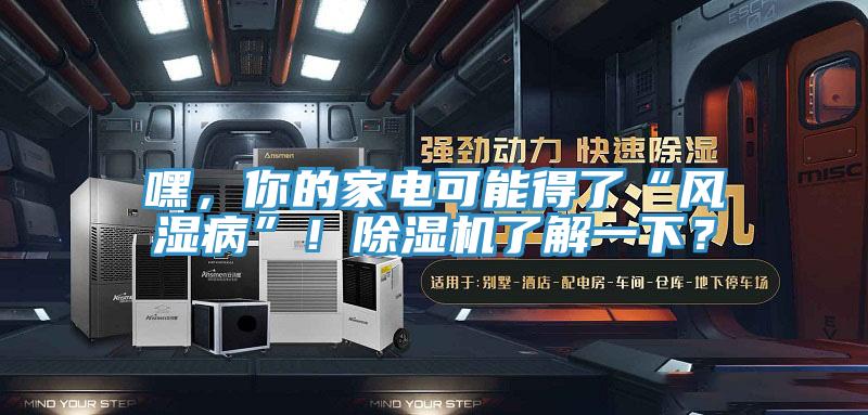 嘿，你的家電可能得了“風濕病”！除濕機了解一下？